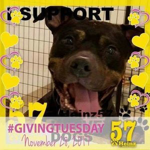 Meet your Posher, Peter